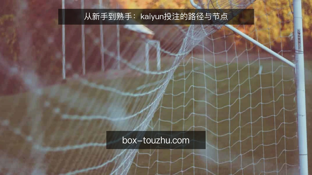 从新手到熟手:kaiyun投注的路径与节点