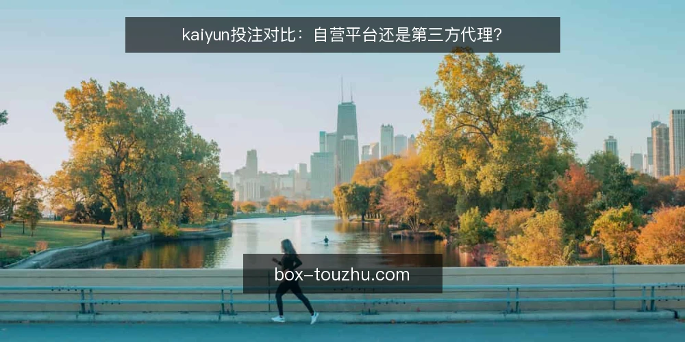 kaiyun投注对比：自营平台还是第三方代理？ — 为什么现在要审计投注渠道 配图