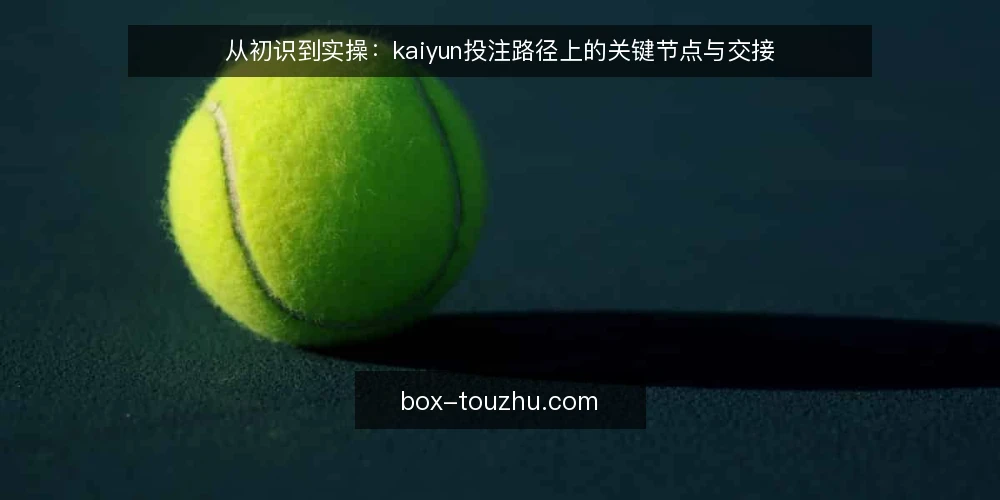 从初识到实操：kaiyun投注路径上的关键节点与交接 — 场景设定：一次从零开始的接触 配图