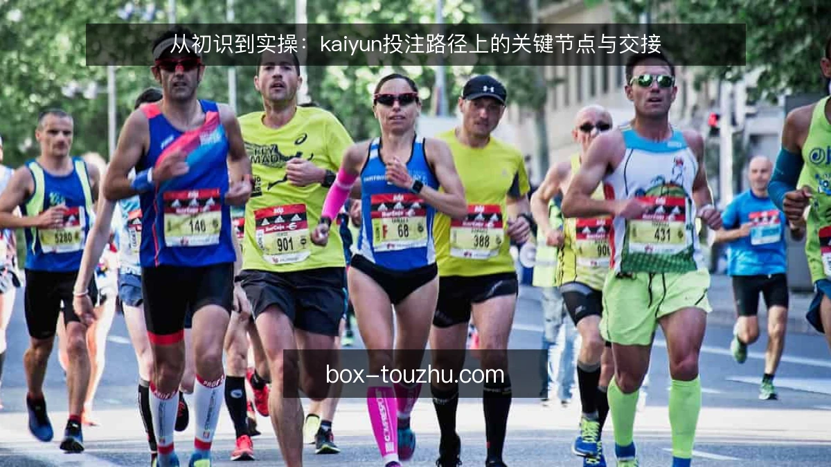 从初识到实操：kaiyun投注路径上的关键节点与交接