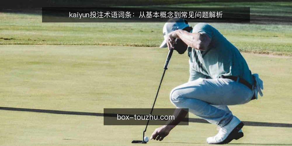 kaiyun投注术语词条：从基本概念到常见问题解析 — kaiyun投注是什么？基本概念解析 配图