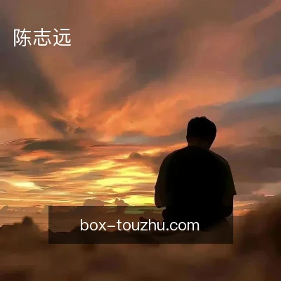 陈志远